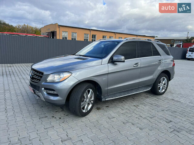 Серый Мерседес М-Класс, объемом двигателя 2.99 л и пробегом 332 тыс. км за 16800 $, фото 51 на Automoto.ua