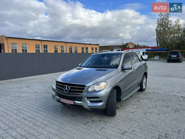 Серый Мерседес М-Класс, объемом двигателя 2.99 л и пробегом 332 тыс. км за 16800 $, фото 12 на Automoto.ua