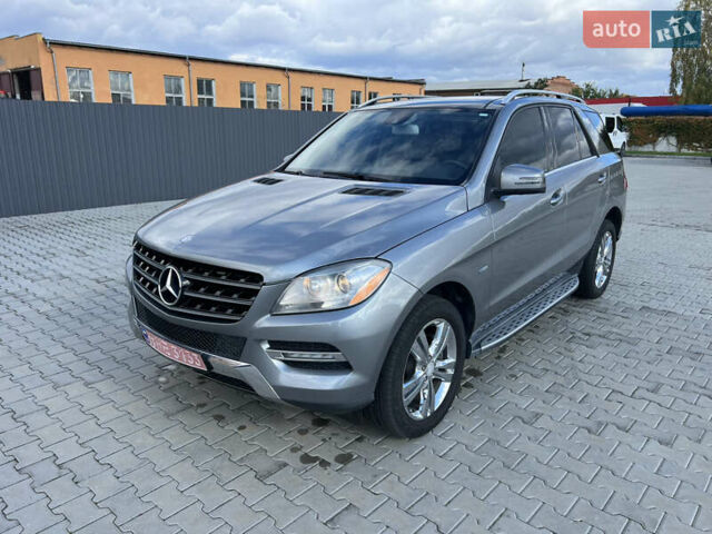 Серый Мерседес М-Класс, объемом двигателя 2.99 л и пробегом 332 тыс. км за 16800 $, фото 29 на Automoto.ua