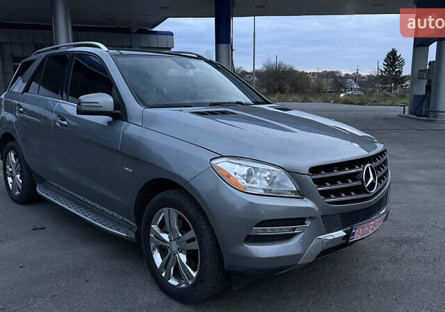 Серый Мерседес М-Класс, объемом двигателя 2.99 л и пробегом 341 тыс. км за 18300 $, фото 8 на Automoto.ua