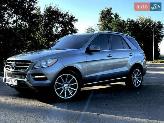 Сірий Мерседес М-Клас, об'ємом двигуна 2.99 л та пробігом 259 тис. км за 21300 $, фото 1 на Automoto.ua