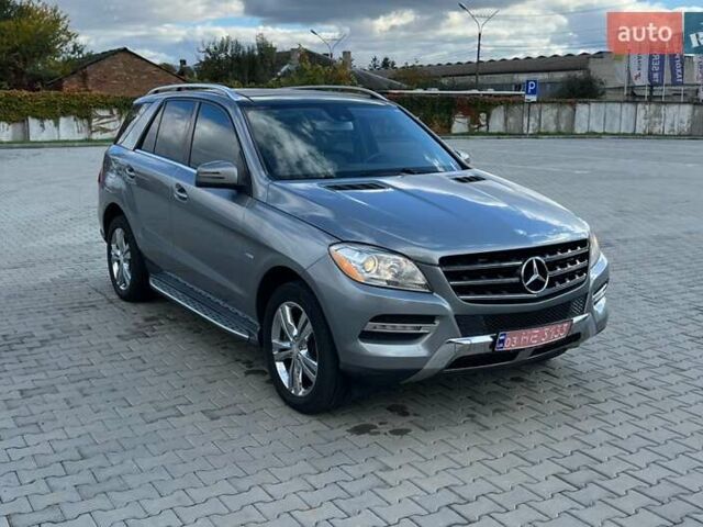 Серый Мерседес М-Класс, объемом двигателя 2.99 л и пробегом 332 тыс. км за 16800 $, фото 27 на Automoto.ua