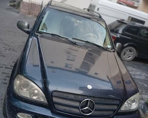Синій Мерседес М-Клас, об'ємом двигуна 2.69 л та пробігом 300 тис. км за 8500 $, фото 10 на Automoto.ua
