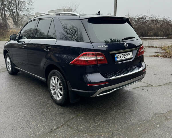 Синий Мерседес М-Класс, объемом двигателя 2.2 л и пробегом 211 тыс. км за 17500 $, фото 8 на Automoto.ua