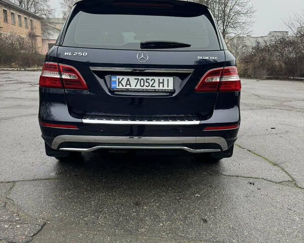 Синий Мерседес М-Класс, объемом двигателя 2.2 л и пробегом 211 тыс. км за 17500 $, фото 5 на Automoto.ua