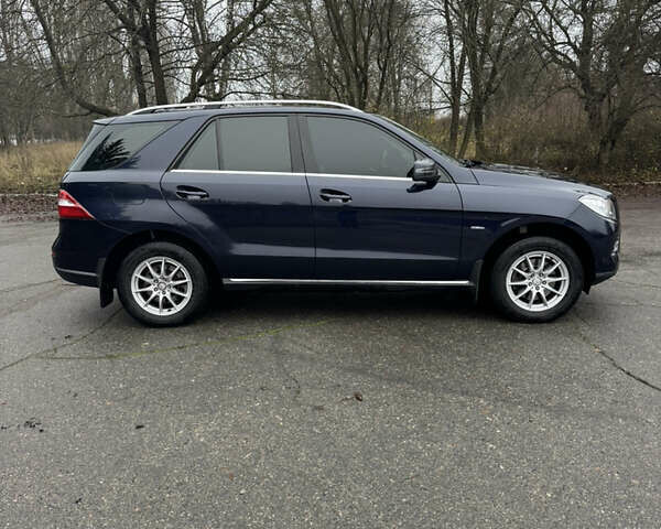 Синий Мерседес М-Класс, объемом двигателя 2.2 л и пробегом 211 тыс. км за 17500 $, фото 7 на Automoto.ua