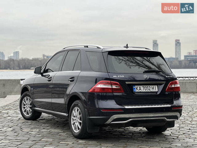 Синий Мерседес М-Класс, объемом двигателя 2.14 л и пробегом 213 тыс. км за 17777 $, фото 17 на Automoto.ua