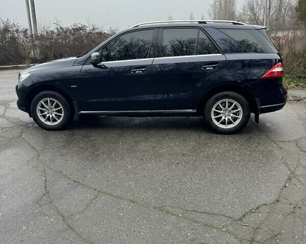 Синий Мерседес М-Класс, объемом двигателя 2.2 л и пробегом 211 тыс. км за 17500 $, фото 9 на Automoto.ua