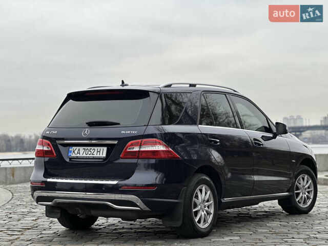 Синий Мерседес М-Класс, объемом двигателя 2.14 л и пробегом 213 тыс. км за 17777 $, фото 15 на Automoto.ua