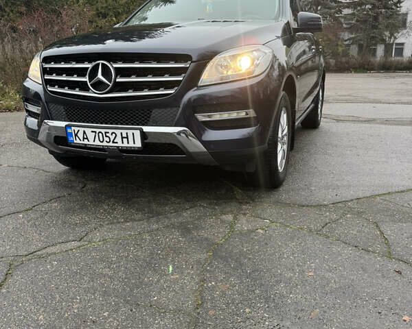 Синий Мерседес М-Класс, объемом двигателя 2.2 л и пробегом 211 тыс. км за 17500 $, фото 23 на Automoto.ua