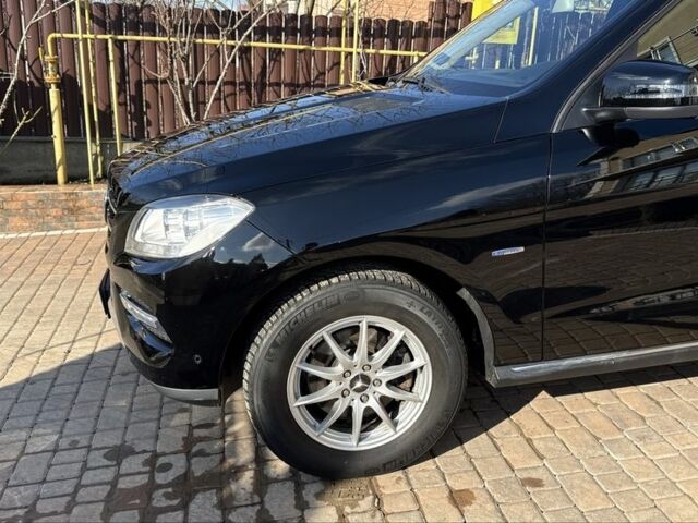 Черный Мерседес МЛ, объемом двигателя 0 л и пробегом 219 тыс. км за 21500 $, фото 12 на Automoto.ua