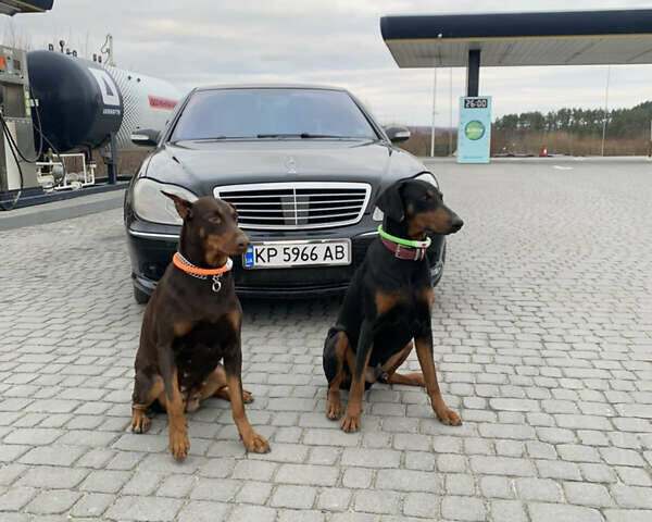 Черный Мерседес С Класс, объемом двигателя 4.97 л и пробегом 340 тыс. км за 7000 $, фото 2 на Automoto.ua