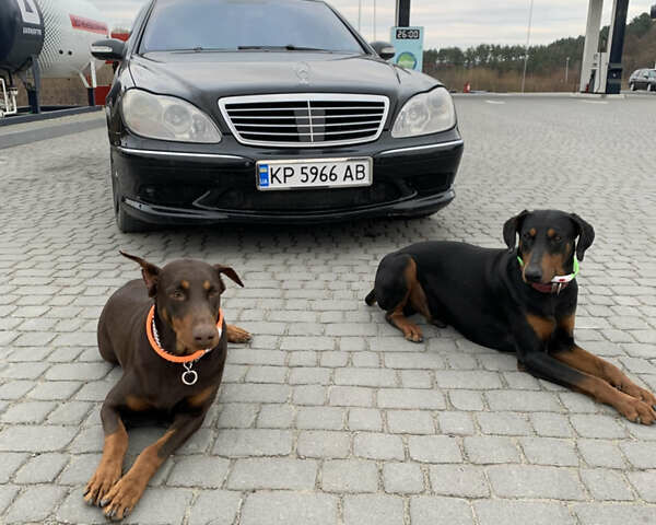 Черный Мерседес С Класс, объемом двигателя 4.97 л и пробегом 340 тыс. км за 7000 $, фото 1 на Automoto.ua