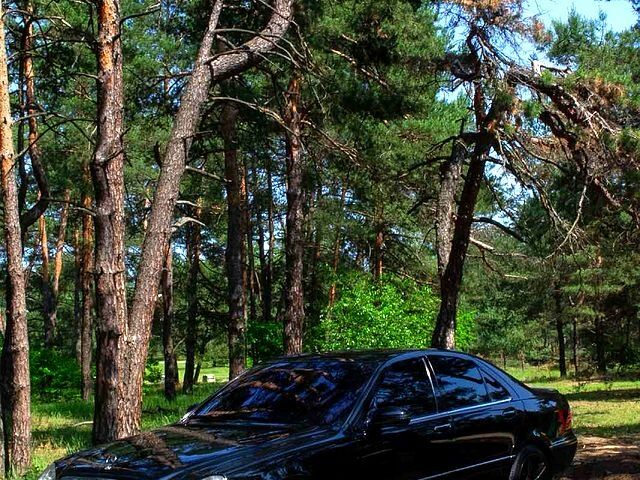 Черный Мерседес С Класс, объемом двигателя 5 л и пробегом 270 тыс. км за 7500 $, фото 1 на Automoto.ua