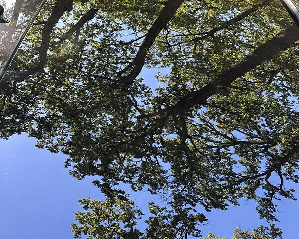 Чорний Мерседес С Клас, об'ємом двигуна 2.99 л та пробігом 160 тис. км за 50000 $, фото 23 на Automoto.ua