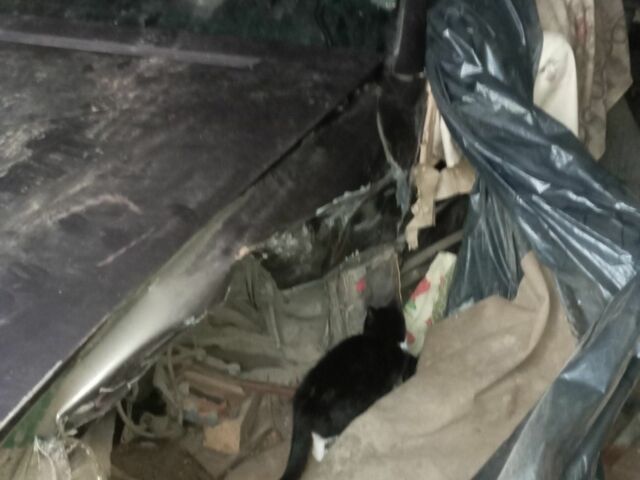 Фиолетовый Мерседес С Класс, объемом двигателя 5 л и пробегом 333 тыс. км за 3000 $, фото 4 на Automoto.ua