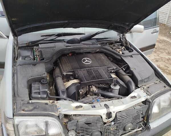 Серый Мерседес С Класс, объемом двигателя 4.97 л и пробегом 350 тыс. км за 2350 $, фото 16 на Automoto.ua