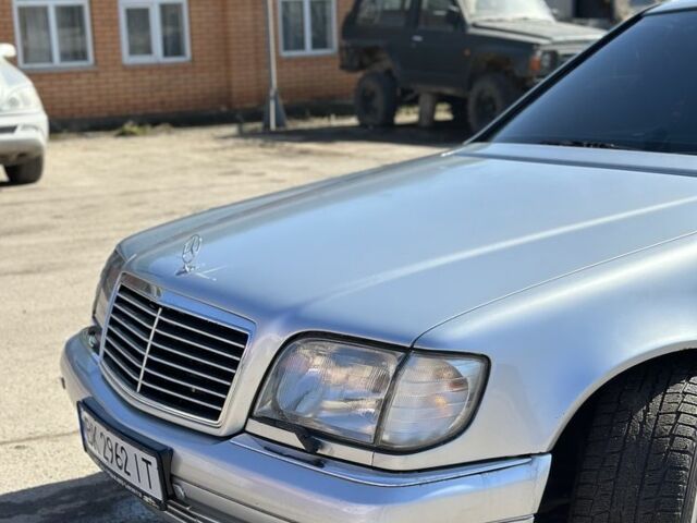 Серый Мерседес С Класс, объемом двигателя 5 л и пробегом 500 тыс. км за 5500 $, фото 5 на Automoto.ua