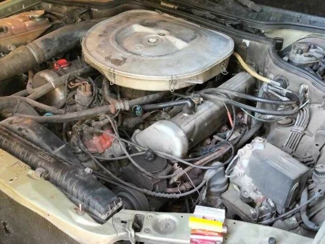 Зеленый Мерседес С Класс, объемом двигателя 5 л и пробегом 400 тыс. км за 2900 $, фото 10 на Automoto.ua