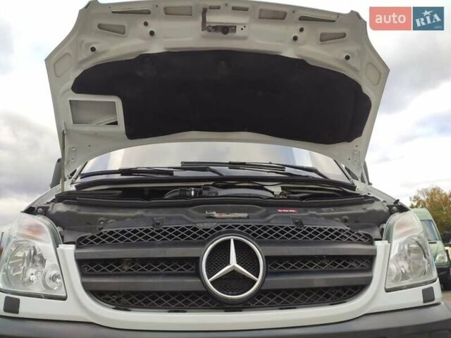 Мерседес Sprinter 2010 в Ровно на Automoto.ua Белый Мерседес Sprinter, объемом двигателя 0 л и пробегом 190 тыс. км за 28800 $, фото 45 на Automoto.ua