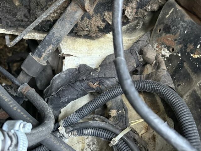 Белый Мерседес Sprinter, объемом двигателя 2.9 л и пробегом 777 тыс. км за 1500 $, фото 6 на Automoto.ua