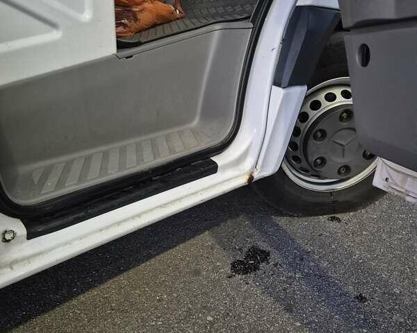 Белый Мерседес Sprinter, объемом двигателя 3 л и пробегом 386 тыс. км за 35000 $, фото 16 на Automoto.ua