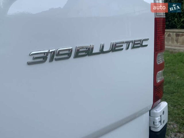 Белый Мерседес Sprinter, объемом двигателя 3 л и пробегом 310 тыс. км за 27990 $, фото 36 на Automoto.ua