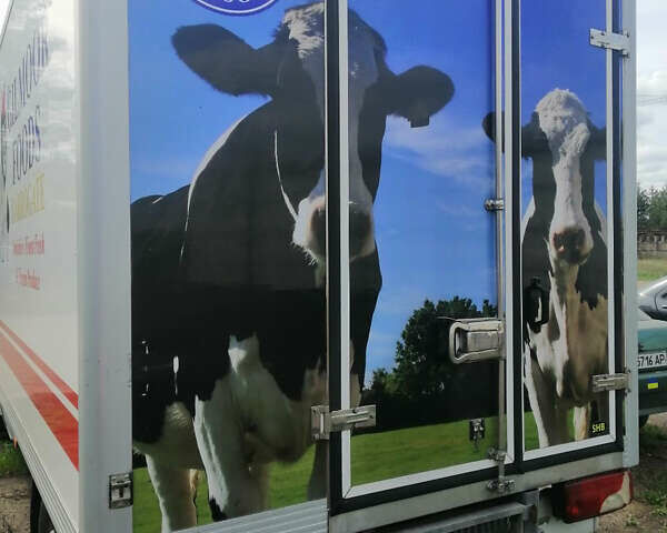 Белый Мерседес Sprinter, объемом двигателя 2.1 л и пробегом 259 тыс. км за 16500 $, фото 8 на Automoto.ua