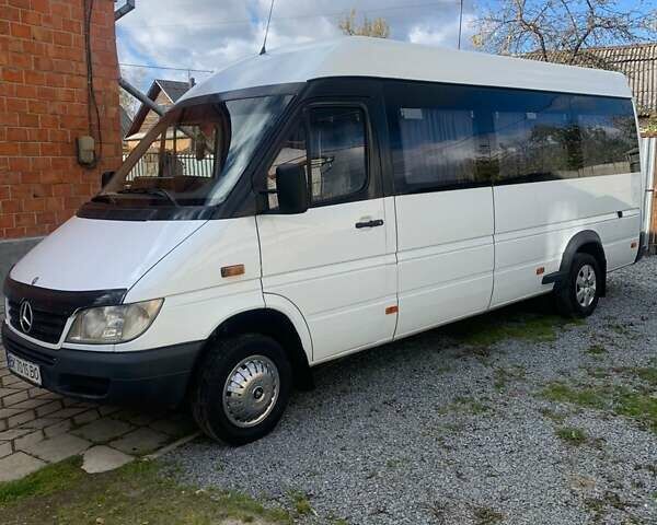 Мерседес Sprinter 2004 в Дубно на Automoto.ua Белый Мерседес Sprinter, объемом двигателя 2.2 л и пробегом 250 тыс. км за 13800 $, фото 4 на Automoto.ua