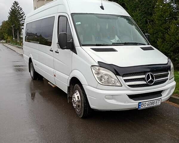 Білий Мерседес Sprinter, об'ємом двигуна 2.99 л та пробігом 380 тис. км за 29999 $, фото 18 на Automoto.ua