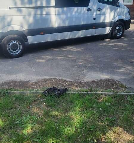 Белый Мерседес Sprinter, объемом двигателя 2.1 л и пробегом 470 тыс. км за 24000 $, фото 2 на Automoto.ua