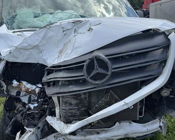 Білий Мерседес Sprinter, об'ємом двигуна 3 л та пробігом 190 тис. км за 19500 $, фото 21 на Automoto.ua
