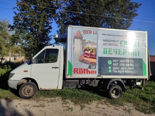 Мерседес Sprinter, объемом двигателя 0 л и пробегом 0 тыс. км за 10000 $, фото 2 на Automoto.ua