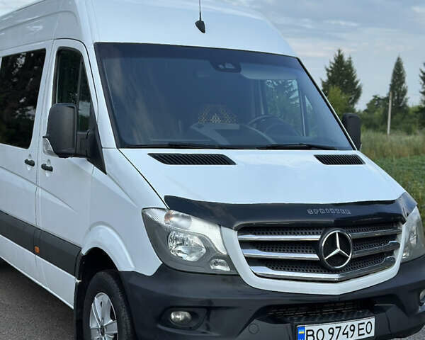 Мерседес Sprinter, объемом двигателя 3 л и пробегом 316 тыс. км за 30000 $, фото 1 на Automoto.ua