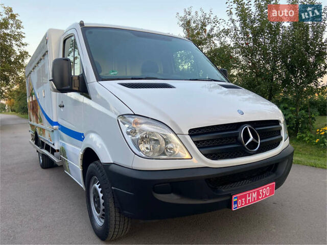 Мерседес Sprinter, об'ємом двигуна 0 л та пробігом 237 тис. км за 18500 $, фото 30 на Automoto.ua