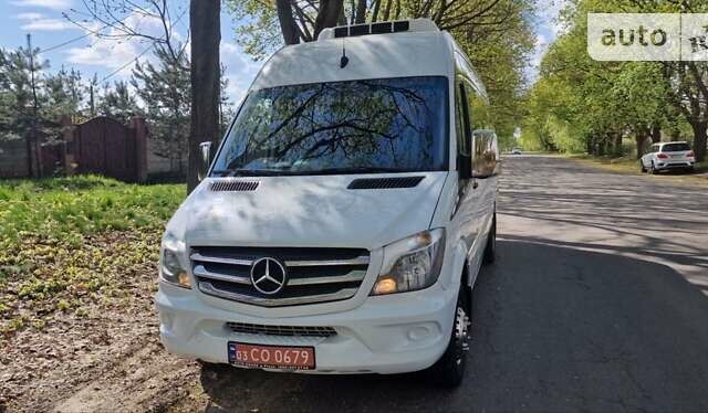 Мерседес Sprinter, об'ємом двигуна 3 л та пробігом 295 тис. км за 57800 $, фото 3 на Automoto.ua