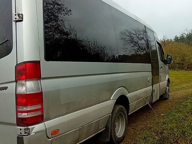 Сірий Мерседес Sprinter, об'ємом двигуна 3 л та пробігом 1 тис. км за 20000 $, фото 7 на Automoto.ua