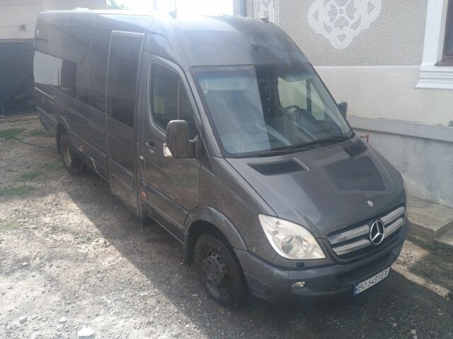 Серый Мерседес Sprinter, объемом двигателя 3 л и пробегом 260 тыс. км за 23000 $, фото 3 на Automoto.ua