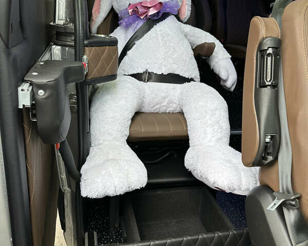 Серый Мерседес Sprinter, объемом двигателя 2.2 л и пробегом 113 тыс. км за 48000 $, фото 23 на Automoto.ua