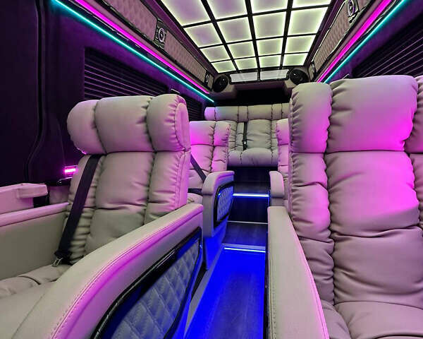 Серый Мерседес Sprinter, объемом двигателя 2.1 л и пробегом 270 тыс. км за 78000 $, фото 10 на Automoto.ua