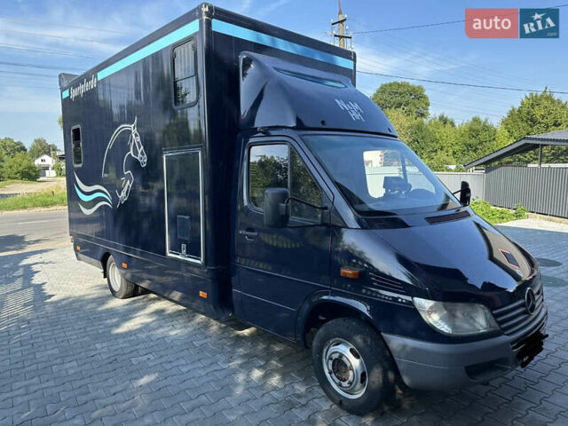 Синій Мерседес Sprinter, об'ємом двигуна 2.7 л та пробігом 220 тис. км за 21500 $, фото 3 на Automoto.ua