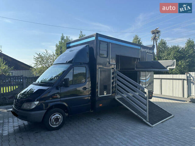 Синій Мерседес Sprinter, об'ємом двигуна 2.7 л та пробігом 220 тис. км за 21500 $, фото 8 на Automoto.ua