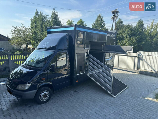 Синій Мерседес Sprinter, об'ємом двигуна 2.7 л та пробігом 220 тис. км за 21500 $, фото 1 на Automoto.ua