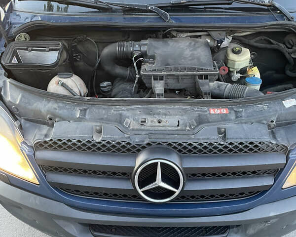 Синий Мерседес Sprinter, объемом двигателя 3 л и пробегом 1 тыс. км за 17600 $, фото 16 на Automoto.ua