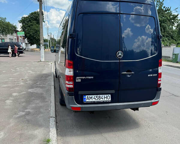 Синий Мерседес Sprinter, объемом двигателя 2.99 л и пробегом 388 тыс. км за 55000 $, фото 7 на Automoto.ua