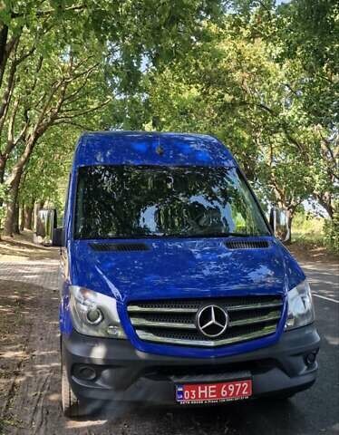 Синий Мерседес Sprinter, объемом двигателя 3 л и пробегом 293 тыс. км за 31800 $, фото 37 на Automoto.ua