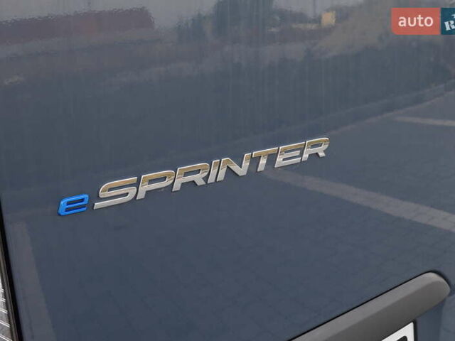 Синий Мерседес Sprinter, объемом двигателя 0 л и пробегом 17 тыс. км за 21805 $, фото 39 на Automoto.ua