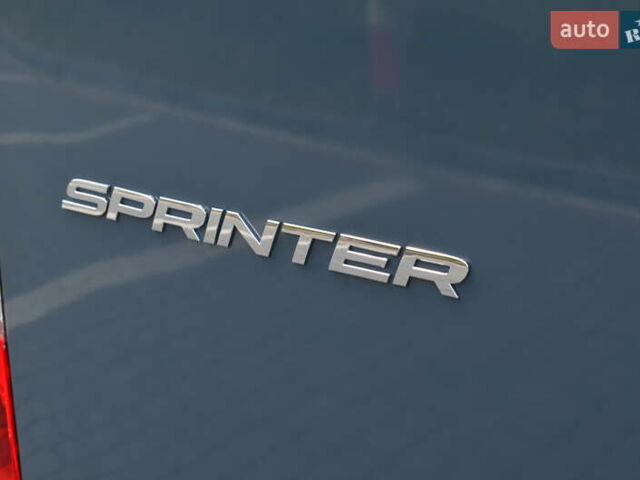 Синий Мерседес Sprinter, объемом двигателя 0 л и пробегом 23 тыс. км за 23200 $, фото 35 на Automoto.ua
