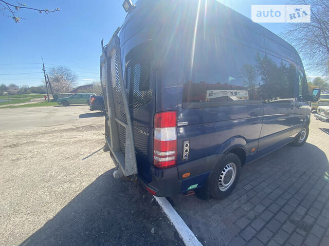 Синий Мерседес Sprinter, объемом двигателя 1.8 л и пробегом 250 тыс. км за 16200 $, фото 2 на Automoto.ua