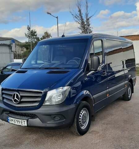 Синий Мерседес Sprinter, объемом двигателя 0 л и пробегом 304 тыс. км за 23500 $, фото 8 на Automoto.ua
